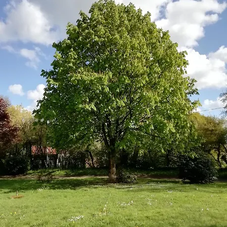 Maisonnette A La Campagne